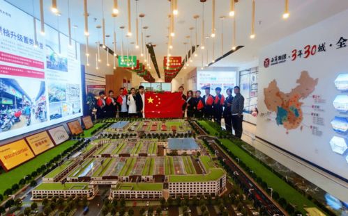 與國(guó)旗合影 慶祖國(guó)華誕——西商集團(tuán)民生項(xiàng)目巡展第六站·匯慶站圓滿舉行